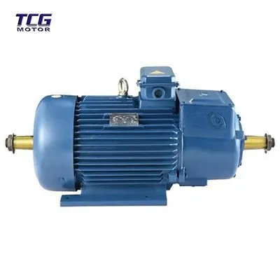 Doppelausgangswellenradmotor